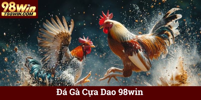 Đá Gà Cựa Dao 98win Trực Tuyến, Cá Cược Minh Bạch, Thắng Lớn 17 Đá Gà Cựa Dao 98win