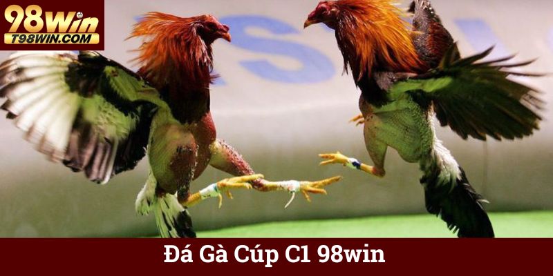 Đá Gà Cúp C1 98win 🐓 Trực Tuyến, Tỷ Lệ Kèo Hấp Dẫn 18 Đá Gà Cúp C1 98win